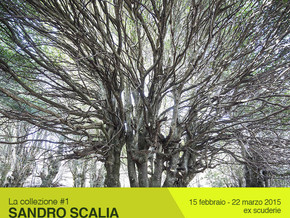 mostra Sandro Scalia. Naturalia / Artificialia - Sandro Scalia