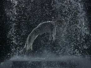 mostra P u r i f i c a t i o n [From Bill Viola to the Palatine Chapel] - Bill Viola
