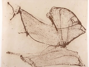 mostra Gandolfo Gabriele David. Lur Sareak/Reti di Terra - Gandolfo Gabriele David