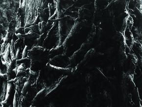 mostra Our possession, unseen