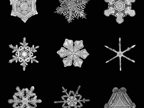 IL SENSO DELLA NEVE. Popoli, arte antica e sguardi contemporanei