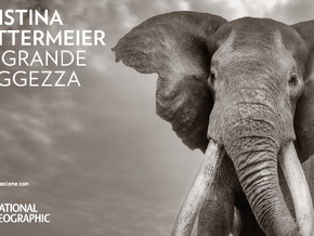 Cristina Mittermeier. La grande saggezza