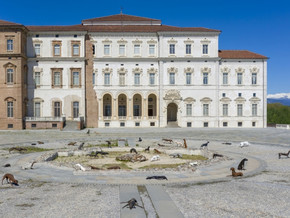 mostra Velasco Vitali. Branco - Velasco Vitali