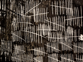 mostra Daria Koltsova. If I can neither feel nor think, where am I then? - Daria Koltsova
