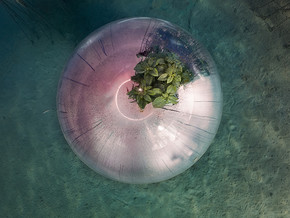 mostra Luca Locatelli. The Circle - Luca Locatelli