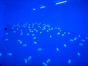 mostra Caro Federico. Airo’ / Concialdi - Mario Airò, Gianluca Concialdi