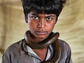 mostra STEVE McCURRY. ANIMALS - STEVE McCURRY