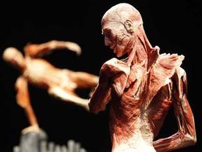 mostra Body Worlds 2016