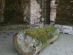 mostra Giuseppe Penone. Anafora - Giuseppe Penone