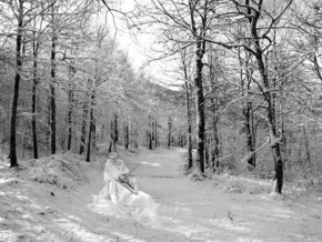 mostra Bianco Cold Landscapes - Massimo Pastore