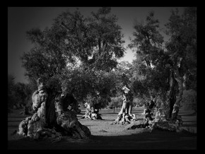 mostra Francesco Bosso. Alive - Francesco Bosso