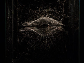 mostra Cosmic Jive: Tomás Saraceno. The Spider Sessions - Tomás Saraceno
