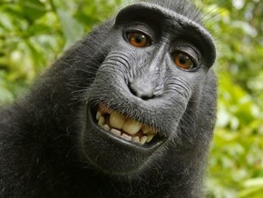 mostra #clickme!! Il ritratto fotografico dal dagherrotipo al selfie