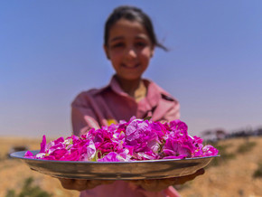 mostra La Rosa di Damasco. Dalla Siria a Torino