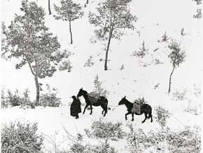mostra Fulvio Roiter. Fotografie 1948-2007 - Fulvio Roiter