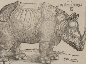 mostra Albrecht Dürer. La collezione completa dei Remondini - Albrecht Dürer