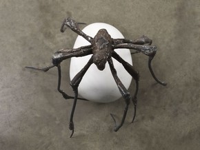 mostra Louise Bourgeois In Florence - Louise Bourgeois