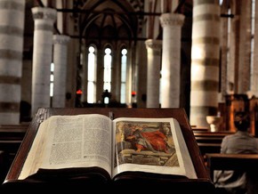 mostra Festival Biblico XI Edizione. Custodire il Creato, coltivare l'Umano
