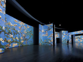 mostra Van Gogh Alive - The Experience - Vincent Van Gogh