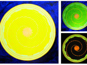 mostra ID-ENTITY R-EVOLUTION: Corpi-Naturans, Transiti e Cyberspace