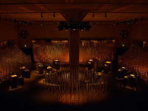 When Apricots Blossom