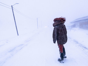 exhibition ARCTIC TALES - Valentina Tamborra
