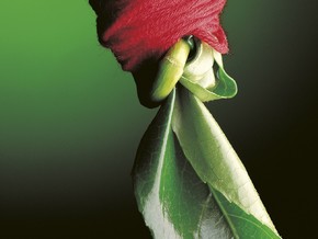 mostra Fil Rouge. Giuliano Francesconi. Fotografie 1993-2012 - Giuliano Francesconi