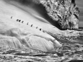 mostra Sebastião Salgado. Genesi - Sebastião Salgado