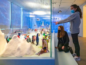 mostra L’Arca di vetro. La collezione di animali di Pierre Rosenberg