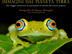 mostra Simone Sbaraglia. Immagini dal Pianeta Terra - Simone Sbaraglia
