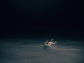 mostra Julian Charrière. All We Ever Wanted Was Everything and Everywhere - Julian Charrière