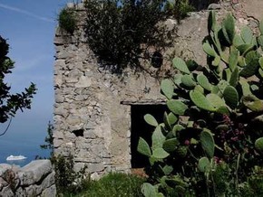 mostra Paesaggio Rurale Contemporaneo