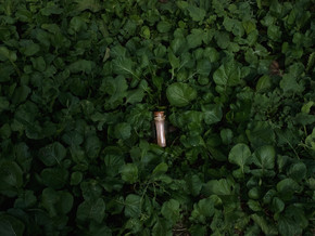mostra Camera Doppia #1 - Romina Bassu, Francesco Paolo Catalano, Simone Geraci, Miriam Iervolino, Roberto Rinella, Simone Stuto, Pietro Vaccarello, Giuseppe Vassallo