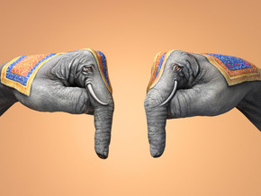 mostra Guido Daniele. Handhumans vs Handimals - Guido Daniele