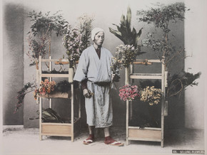 mostra Linda Fregni Nagler. Hana to Yama - Linda Fregni Nagler