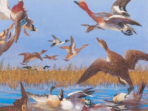 mostra Arte dal Vero. Aspetti della figurazione in Romagna dal 1900 a oggi - Domenico Baccarini, Gino Barbieri, Giannetto Malmerendi, Angelo Biancini, Giovanni Guerrini, Giuseppe Ugonia, Ercole Drei, Antonello Moroni, Alberto Sughi, Nicola Samorì, Domenico Rambelli, Mattia  Moreni, Bertozzi, Casoni e al.