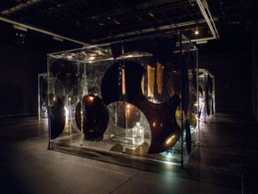 mostra Anicka Yi. Metaspore - Anicka Yi