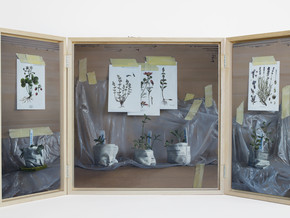 exhibition Jesús Herrera Martínez. Taking Care of the Garden of Eden - Jesús Herrera Martínez
