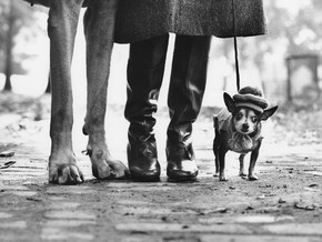 mostra Elliott Erwitt. Family - Elliott Erwitt