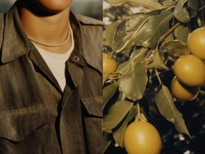 Sander Coers. Eulogy