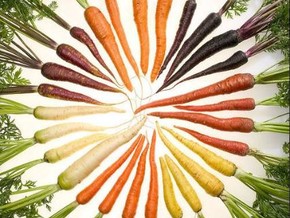mostra Food. La scienza dai semi al piatto