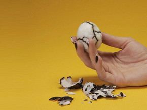 mostra Camille Henrot - Camille Henrot