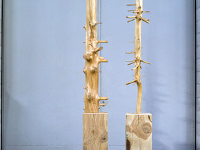 mostra Matrice di linfa - GIUSEPPE PENONE