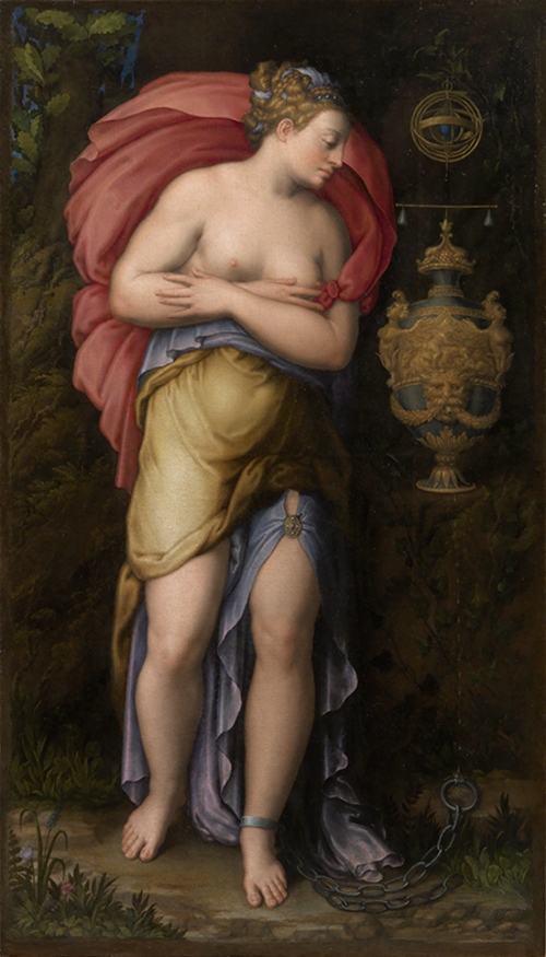 Giorgio Vasari e l&rsquo;Allegoria della Pazienza, Galleria Palatina, Firenze