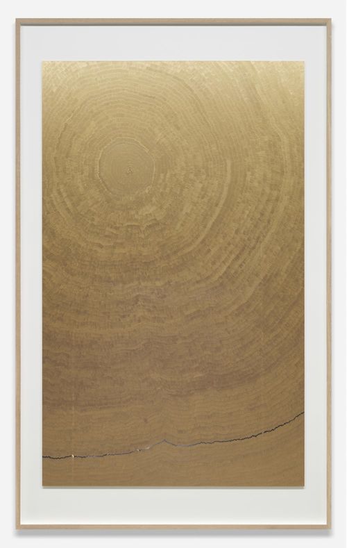 Slater B. Bradley, <em>Ninth Wave Solar Shield</em>, 2016