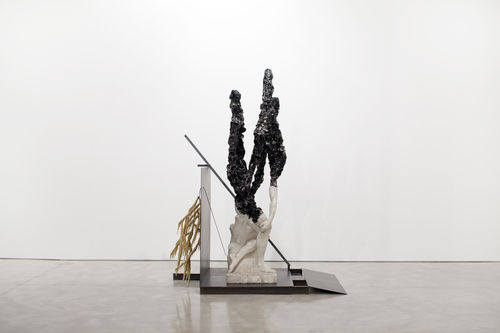Nick van Woert, Return to Nature