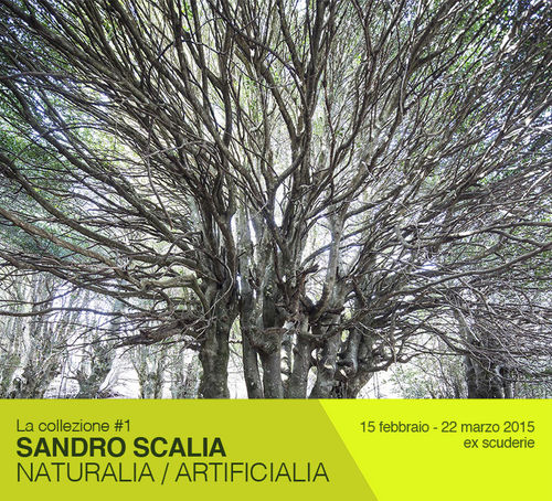 Sandro Scalia. Naturalia / Artificialia, Museo Civico di Castelbuono