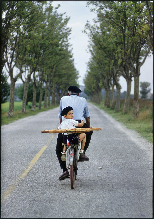 Elliott Erwitt, France, Provence. 1955