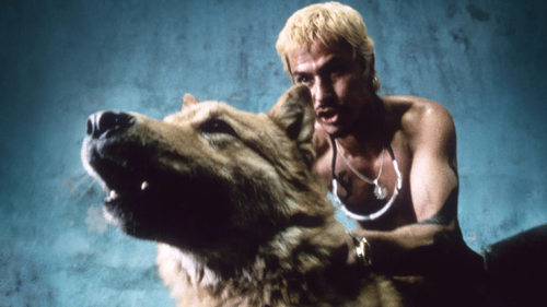 Un'immagine dal film <em>Amores Perros</em> di&nbsp;Alejandro G. I&ntilde;&aacute;rritu, 2000 | Courtesy &copy; Nu Vision