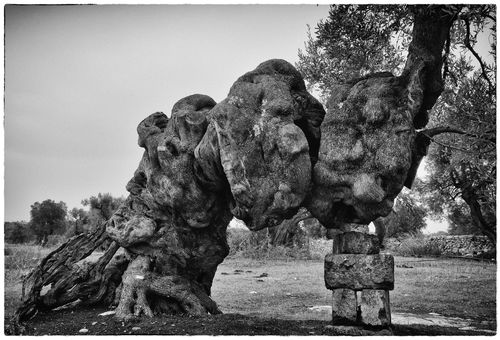 Barbara Luisi, Vita Aeterna, Vecchio Ulivo 33, 2015